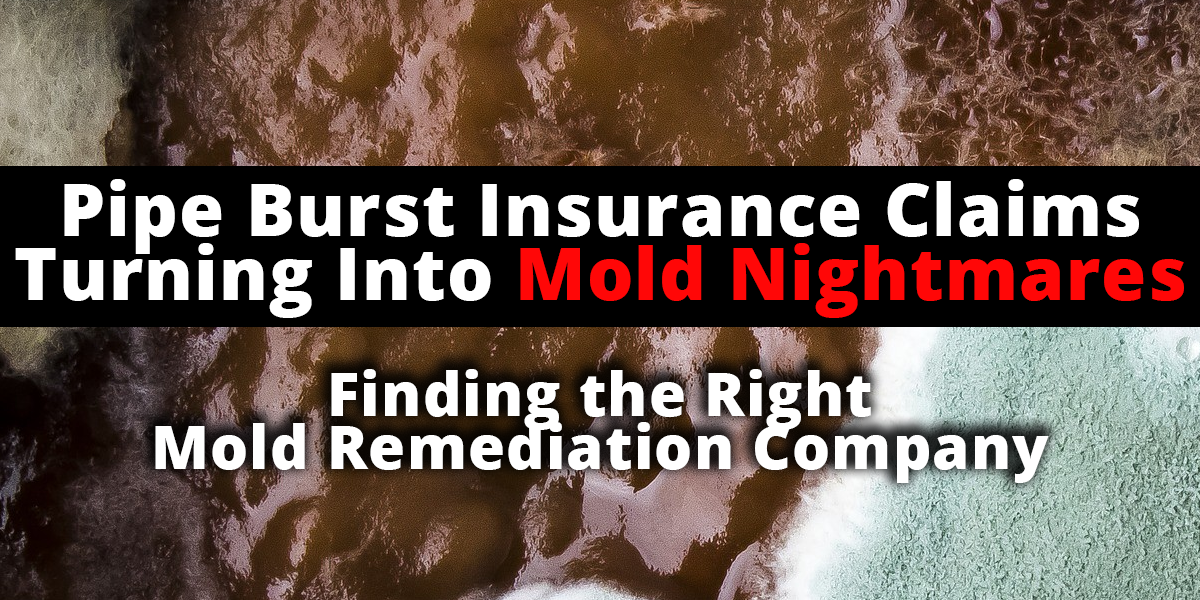 mold insurance claims
