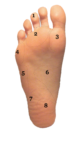 Foot and Ankle Pain Diagram by Area | Long Beach, CA | Sol Foot & Ankle