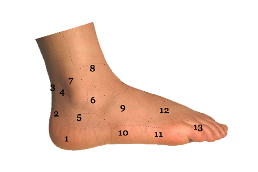 foot pain chart